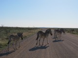 Namibia Hochzeit, Reise, Bilder, Fotos - img_5558.jpg